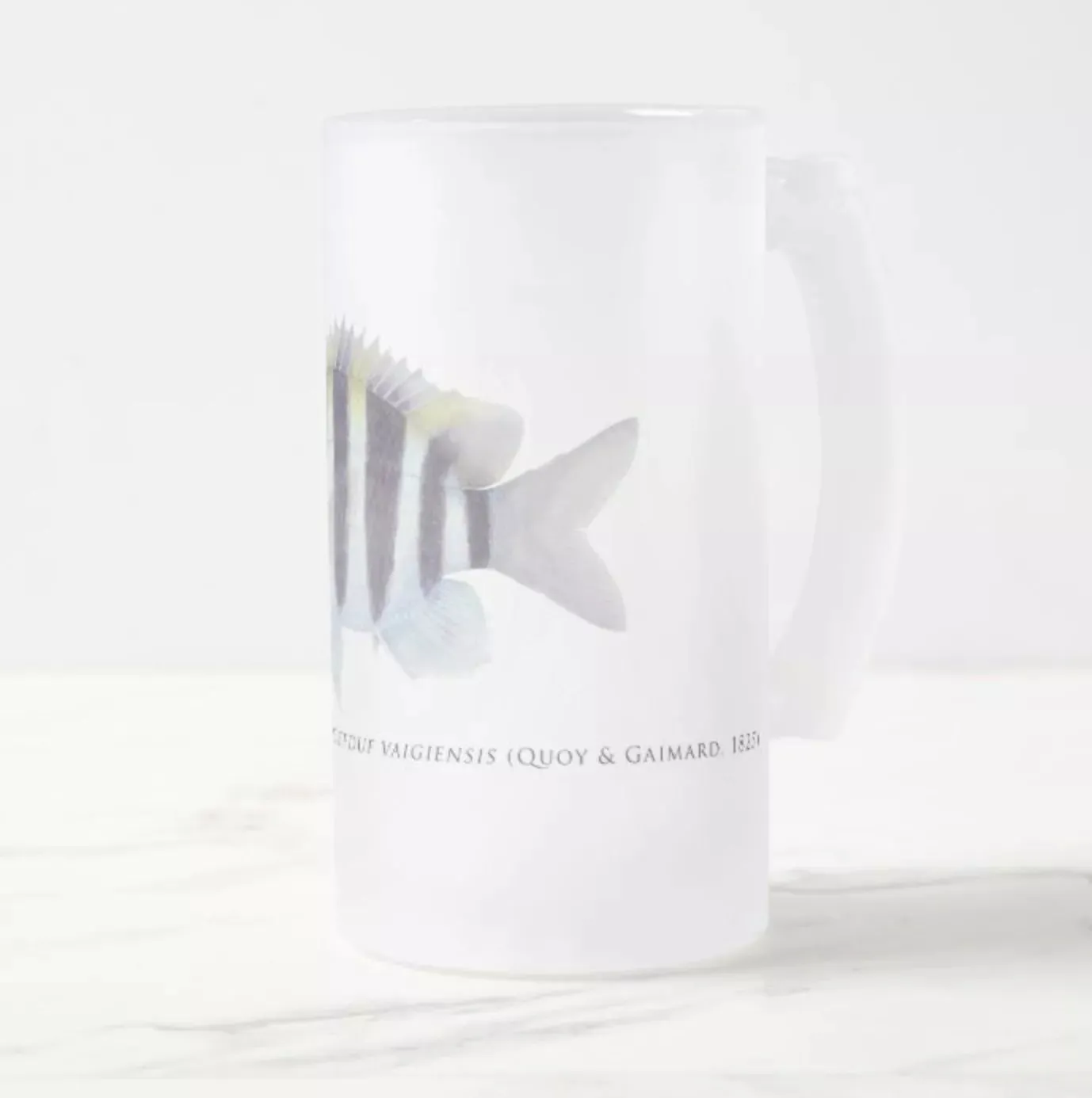 Indo-Pacific Sergeant - Frosted Glass Stein