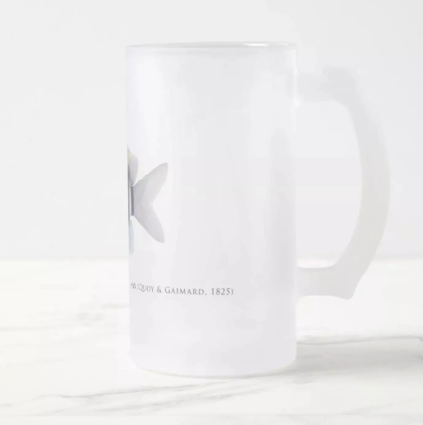 Indo-Pacific Sergeant - Frosted Glass Stein