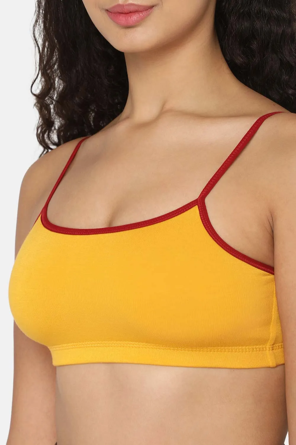 Intimacy Beginners-Bra Special Combo Pack - BB01 - C47