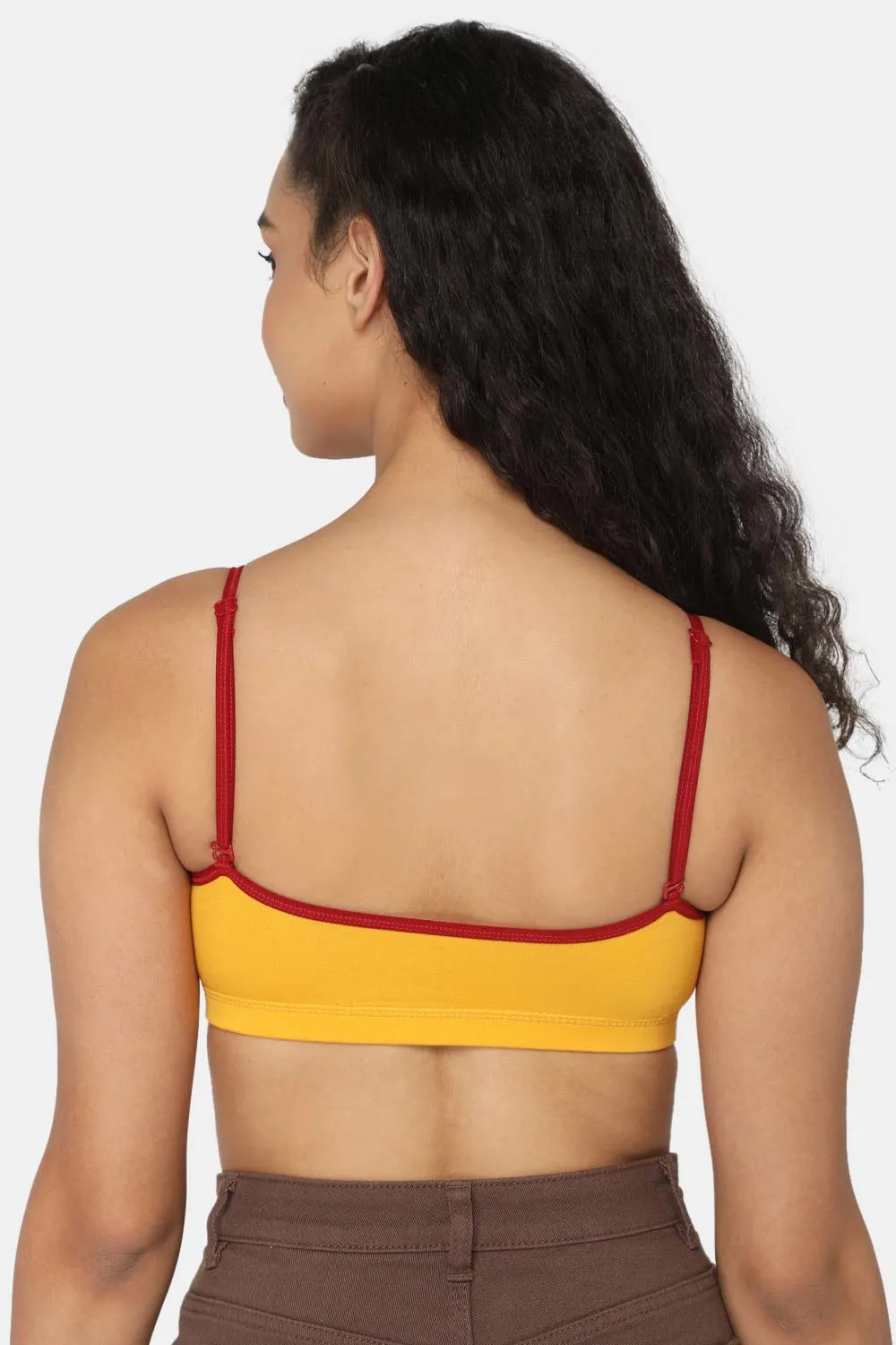 Intimacy Beginners-Bra Special Combo Pack - BB01 - C47