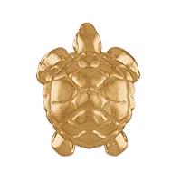 Sea Turtle Charm
